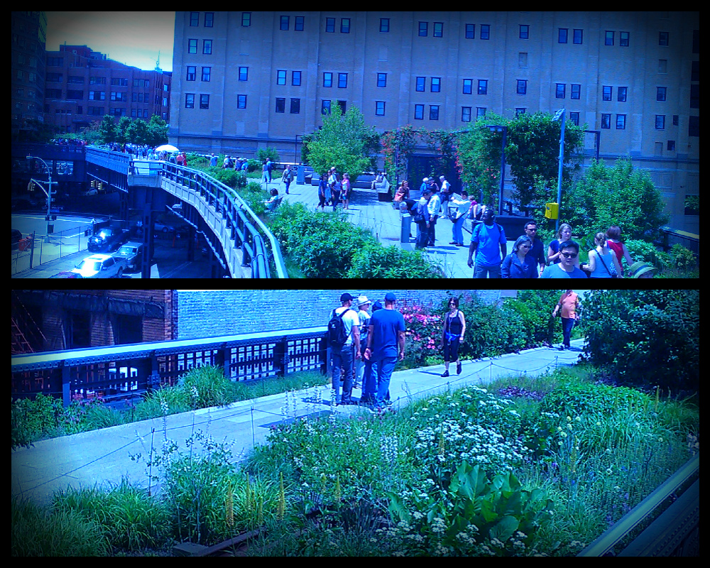 High Line Pic