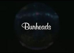 bunheads