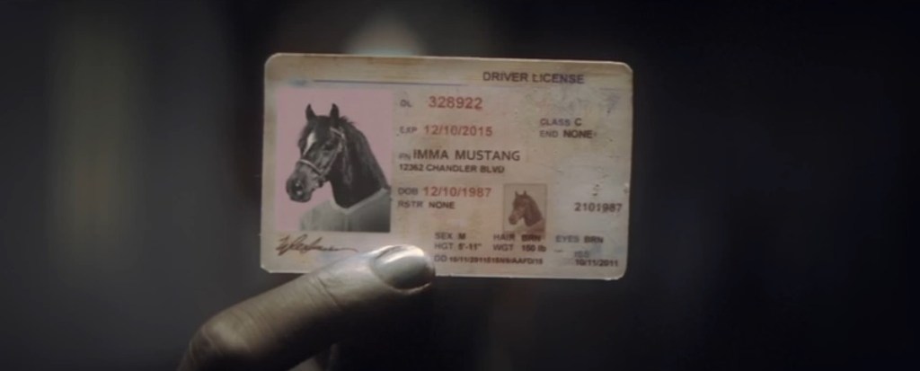 Zebra's Fake ID