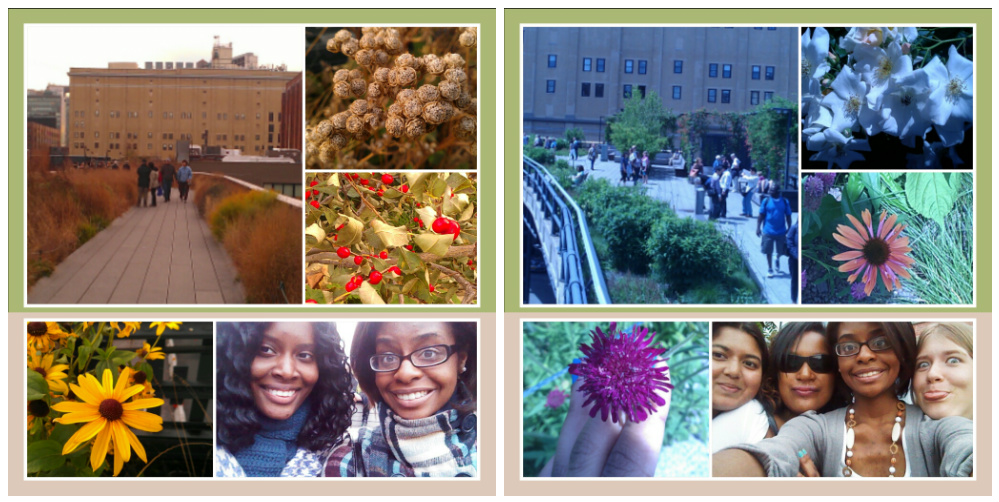 High Line Comparison