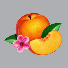 220px-Phoenix_-_Bankrupt!_cover