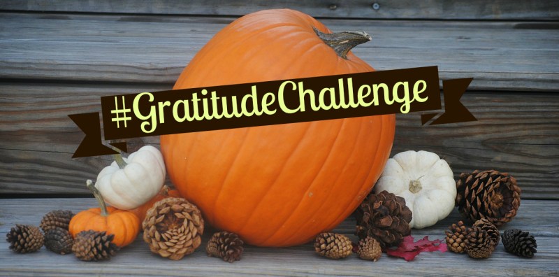 gratitudechallenge