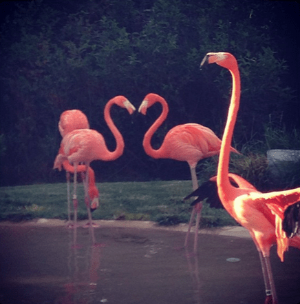 Screenshot 2015-01-22 at 7.20.39 PM - Edited