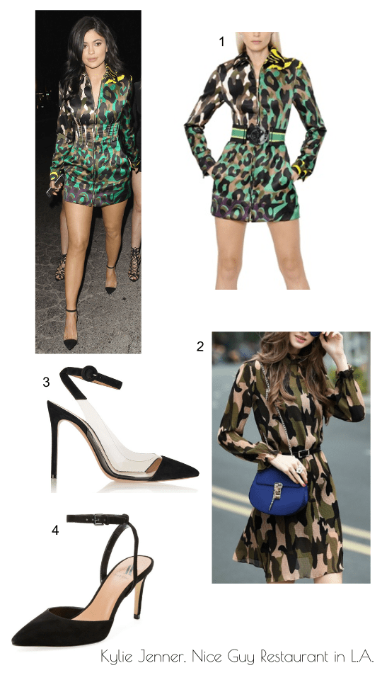 Kylie Jenner, Nice Guy Restaurant in L.A.ntation