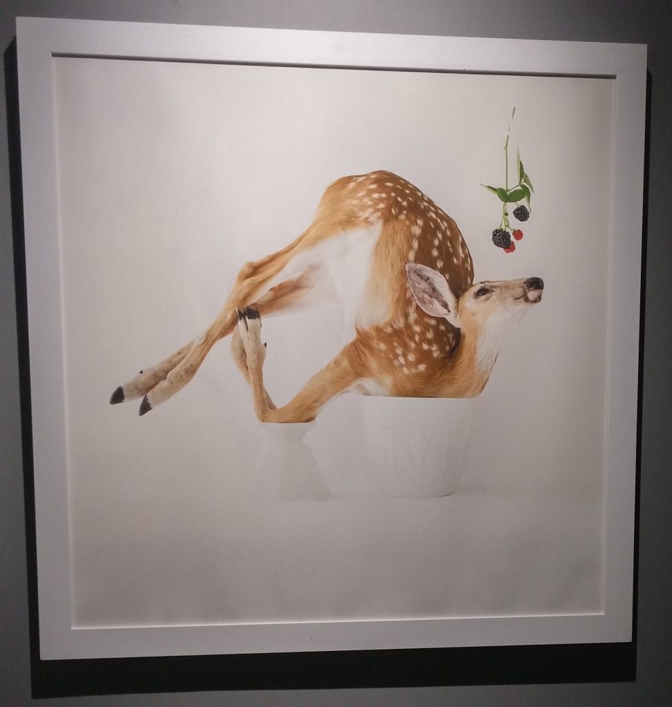 kimberly witham ripeness and rot