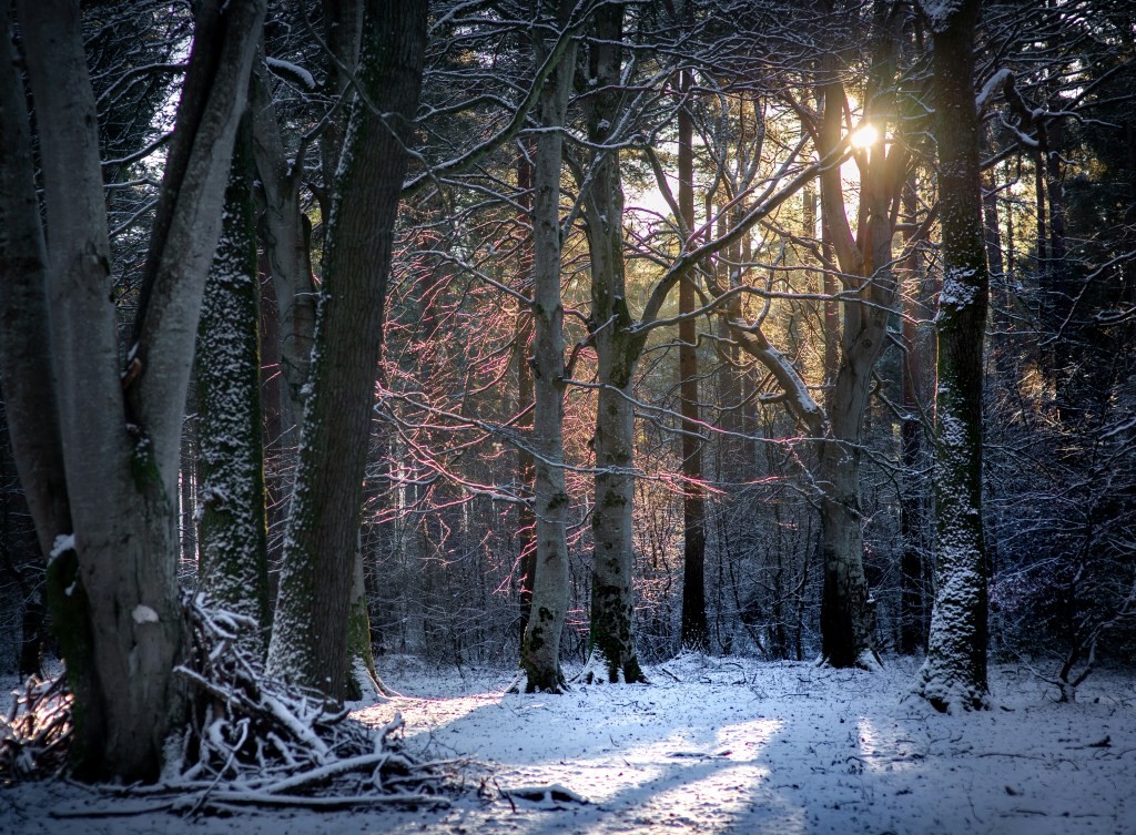 Winter 2026 Calling Your Name Playlist pt. 3