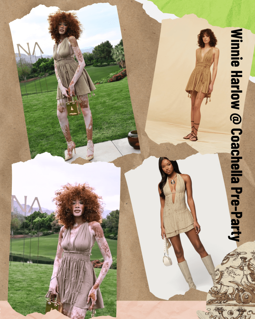 Wardrobe Wednesdays: Winnie Harlow at Coachella Pre-Party